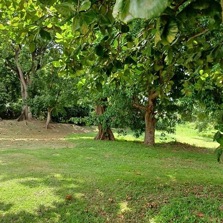Bungalow Papaye Πουάντ-Νουάρ Εξωτερικό φωτογραφία
