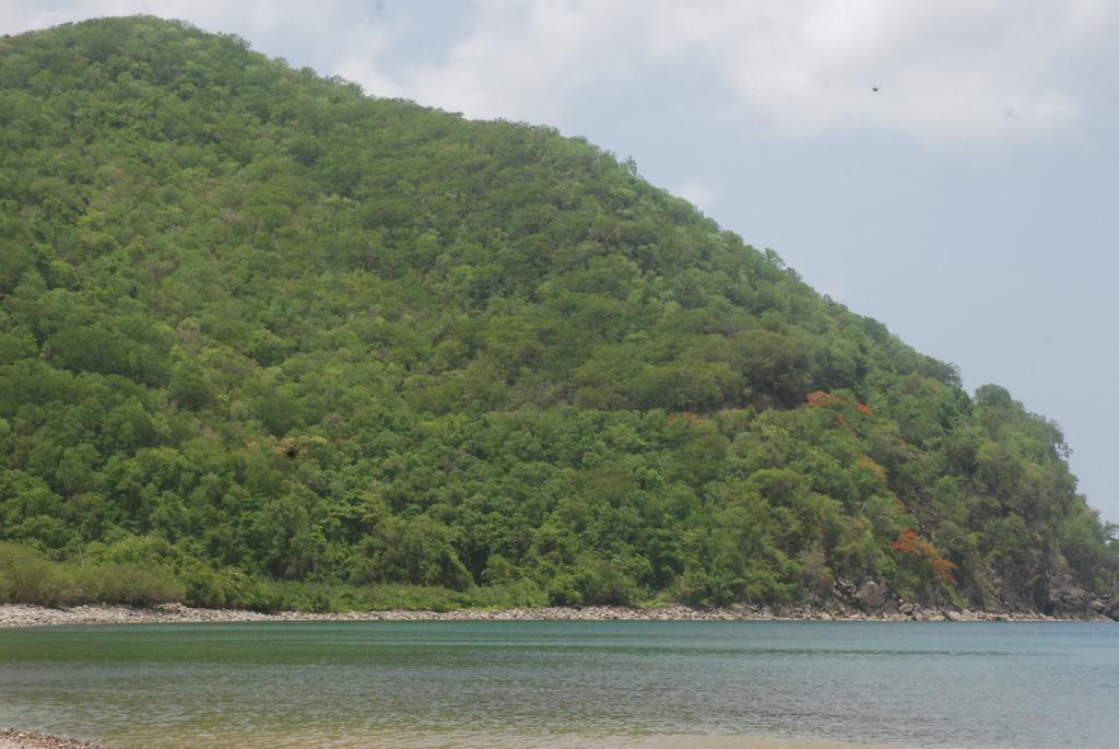 Bungalow Papaye Πουάντ-Νουάρ Εξωτερικό φωτογραφία